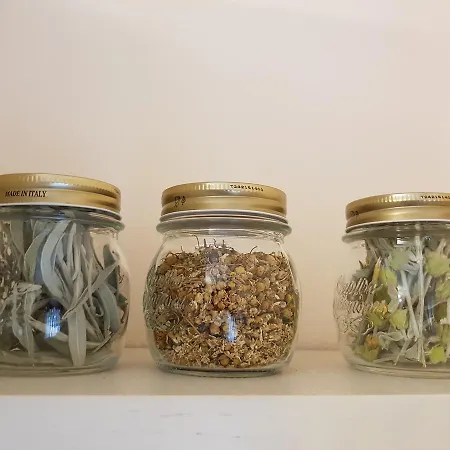 Appartamento Hidden Gem Tirana